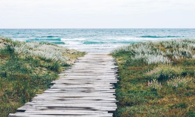 motivatie